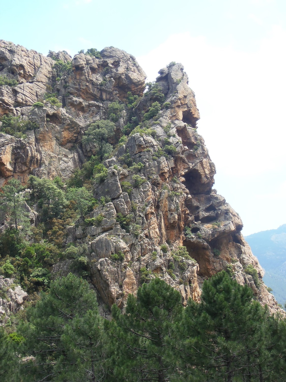 Castelluciu d'Ornucciu