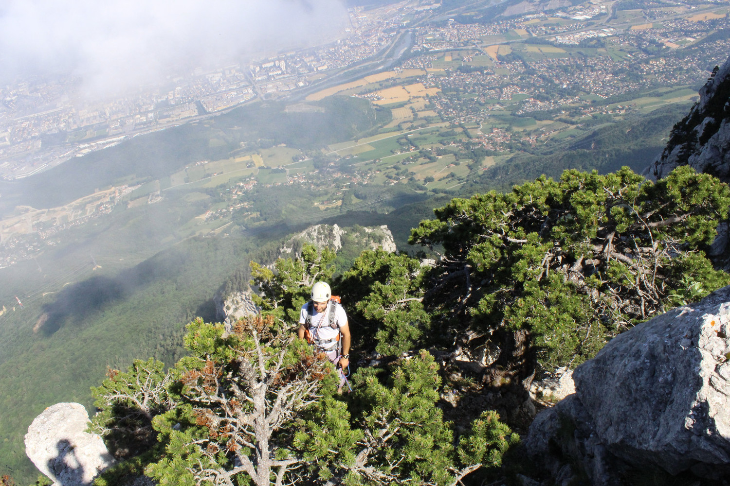 arriver boisée