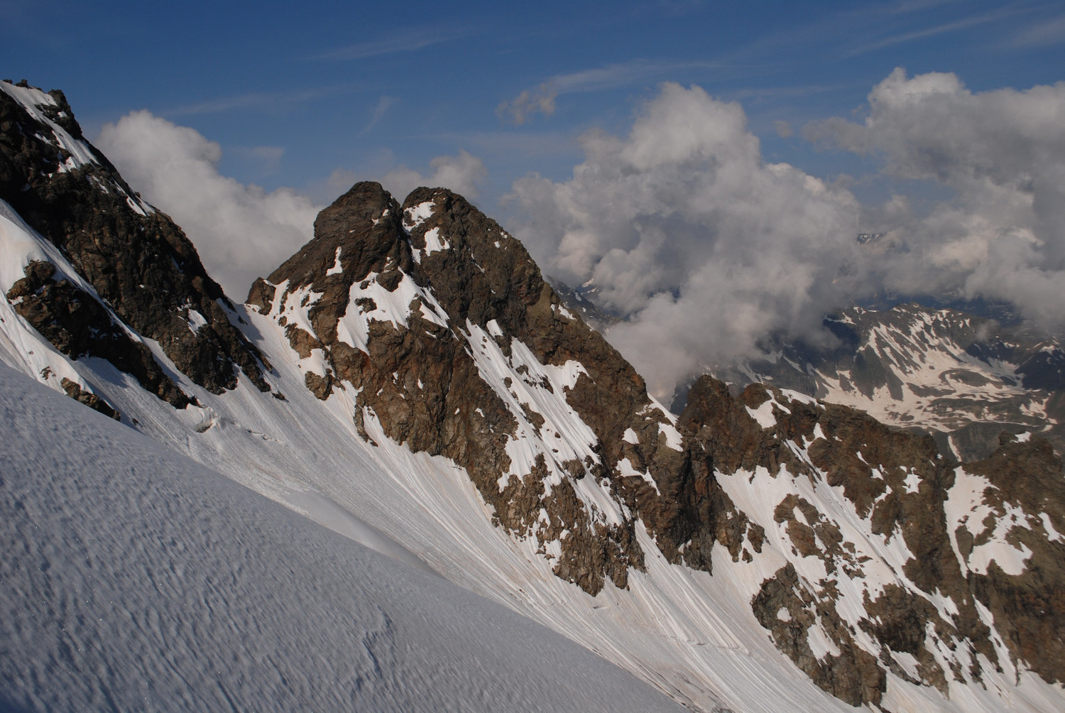 Il Corno da Sinigaglia 3315m visto dallo spigolo N della Cima Piazzi