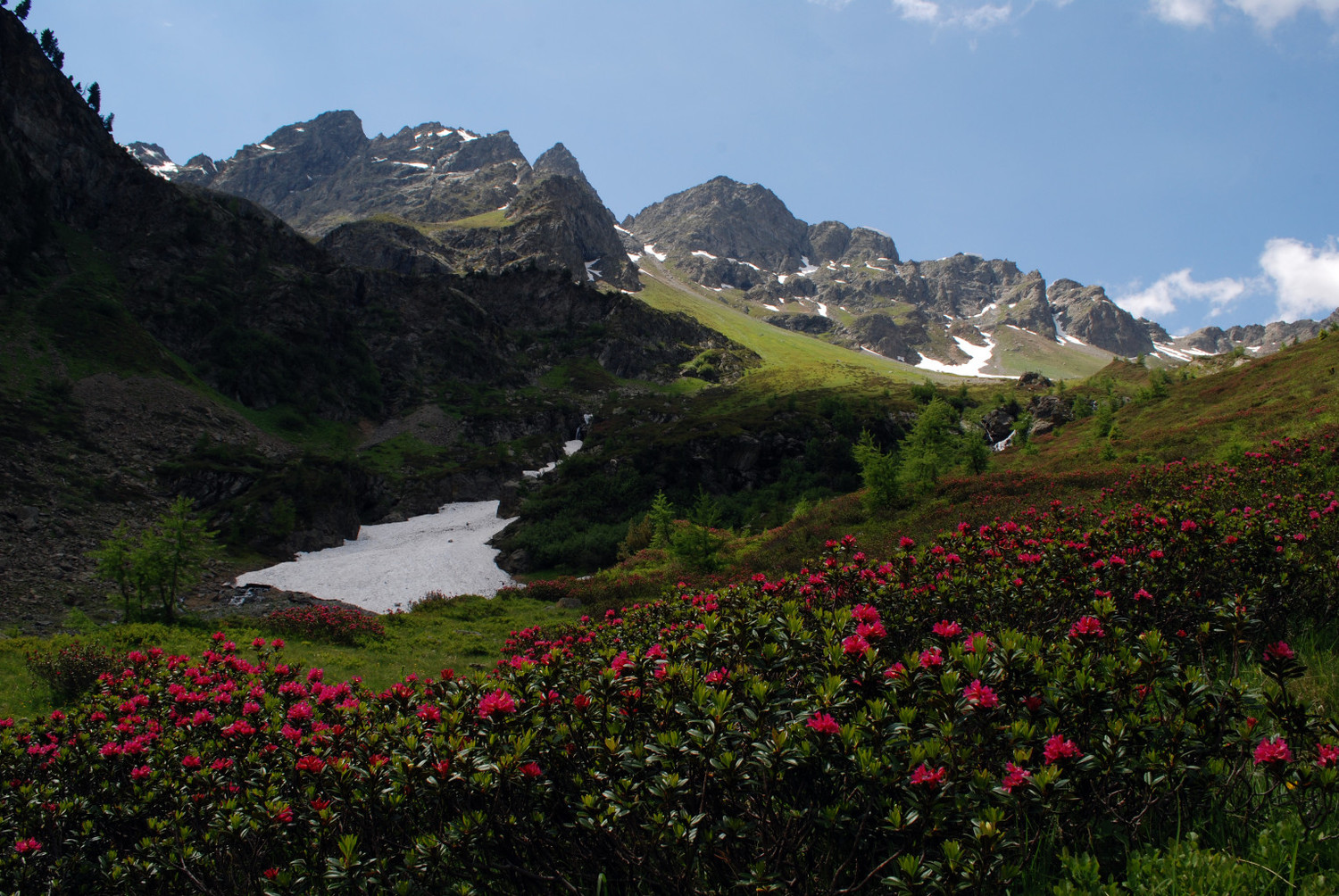 L'estate è arrivata anche qui, vista su parte della cresta da Sinigaglia