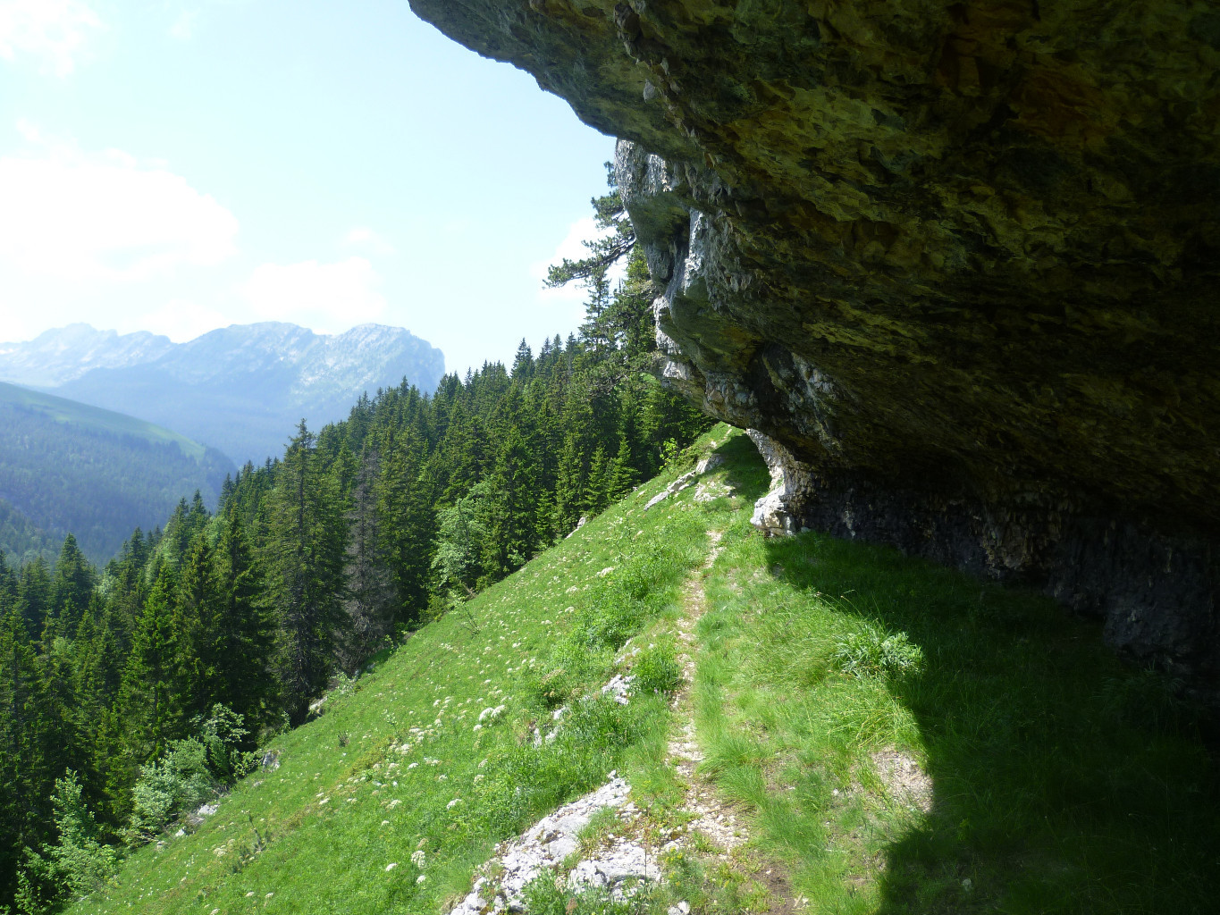 Début du sangle