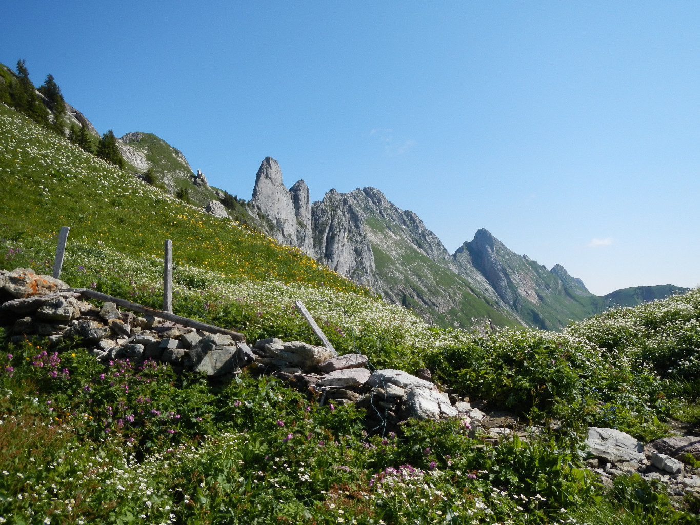 Les Pucelles, Dent de Savigny et Dent de Ruth