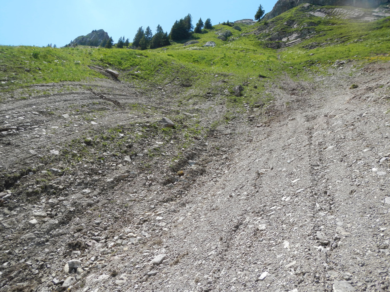 Stigmate d'avalanche