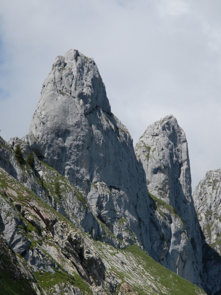 Les Pucelles