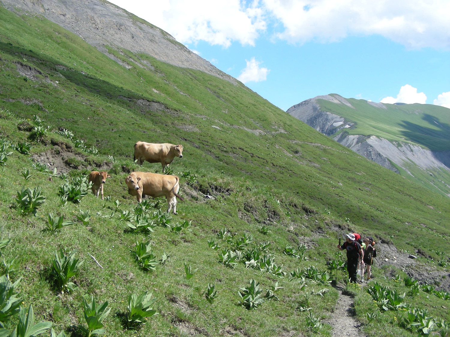 Vallon de la Valette - On est bien accompagnés