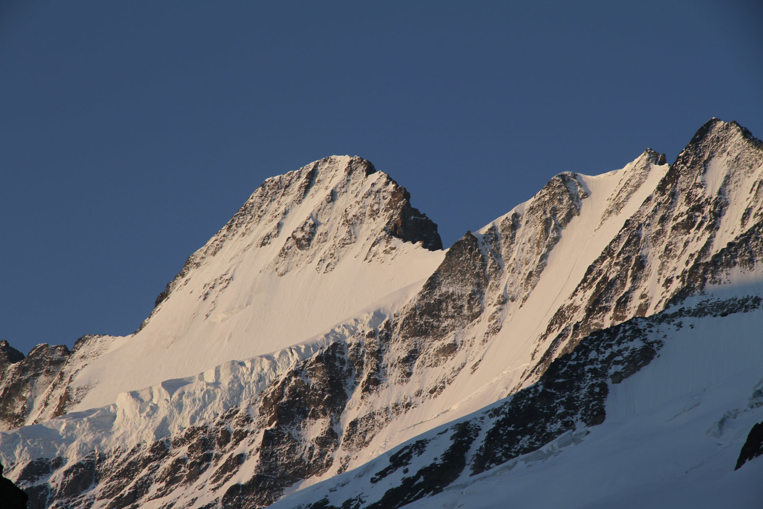 Schreckhorn au lever du soleil
