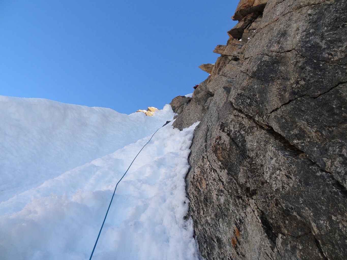 La longueur qui monte après avoir contourné l'androsace