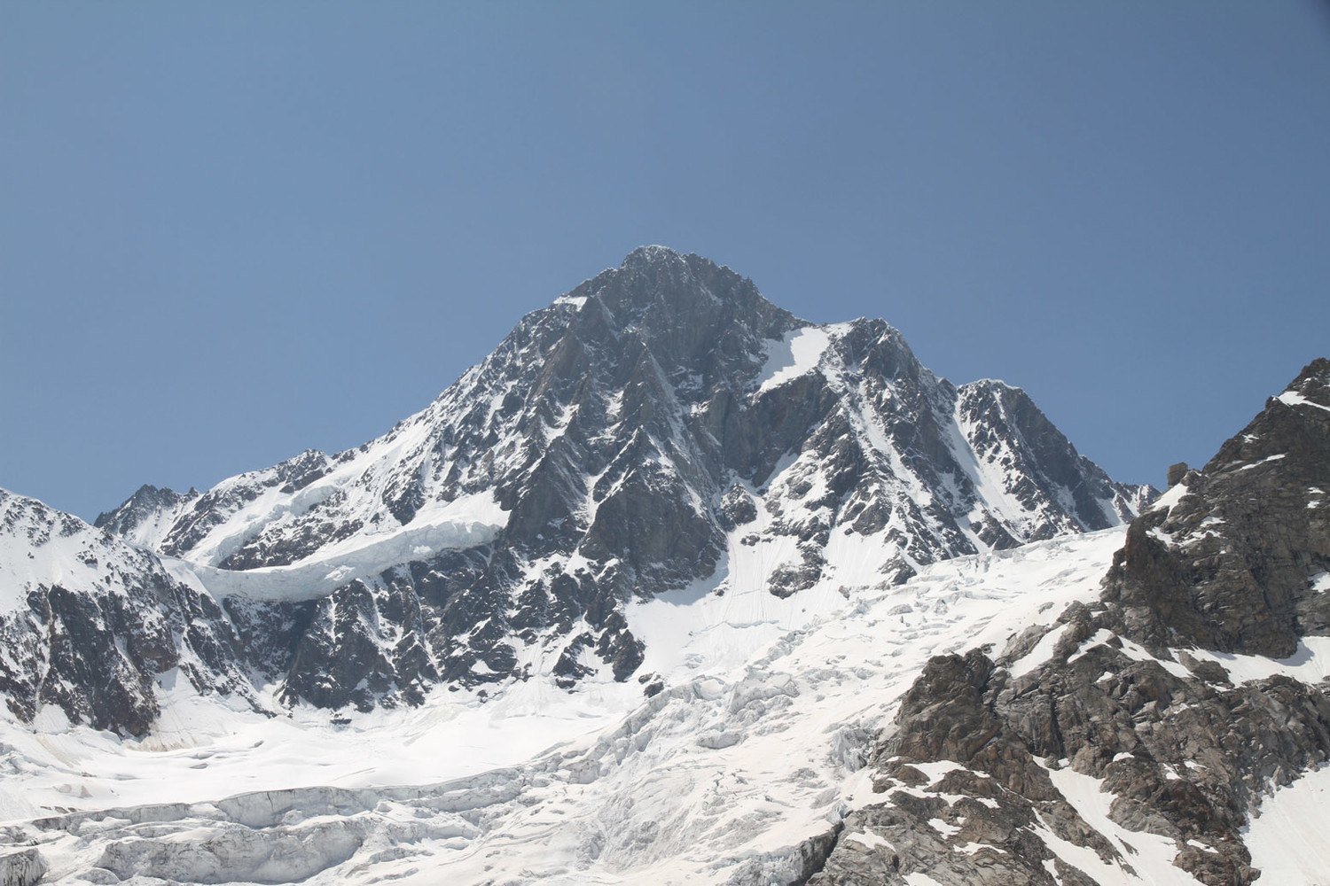 Finsteraarhorn: Le seigneur des lieux