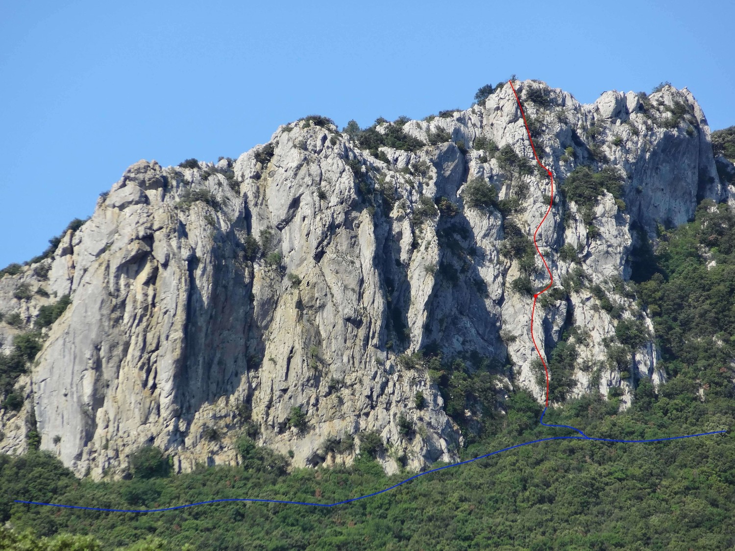 Pic Saint Loup : Le Jardin d'Adrien