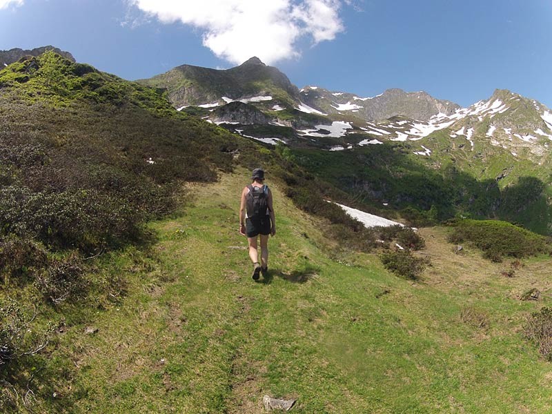 ca monte dans les alpages