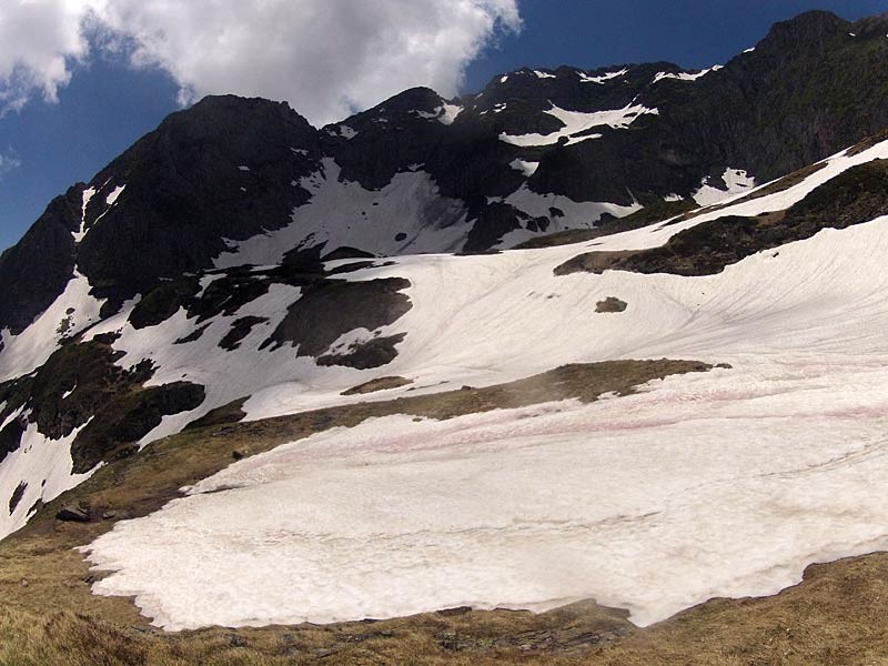 vers 2100m la neige commence à etre omniprésente