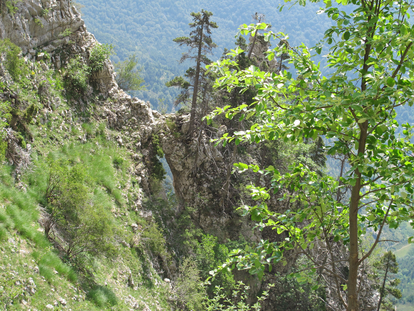 Arche (petite)