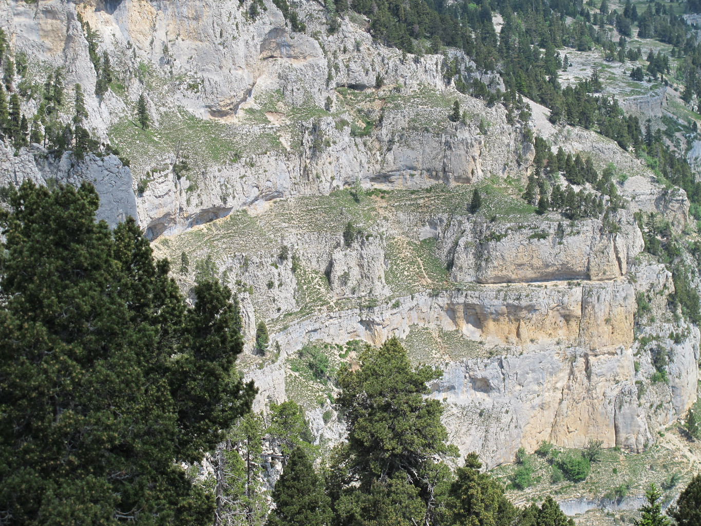 La suite des réjouissances, esquivée