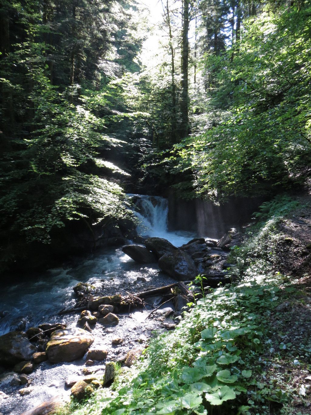 l'Avancon