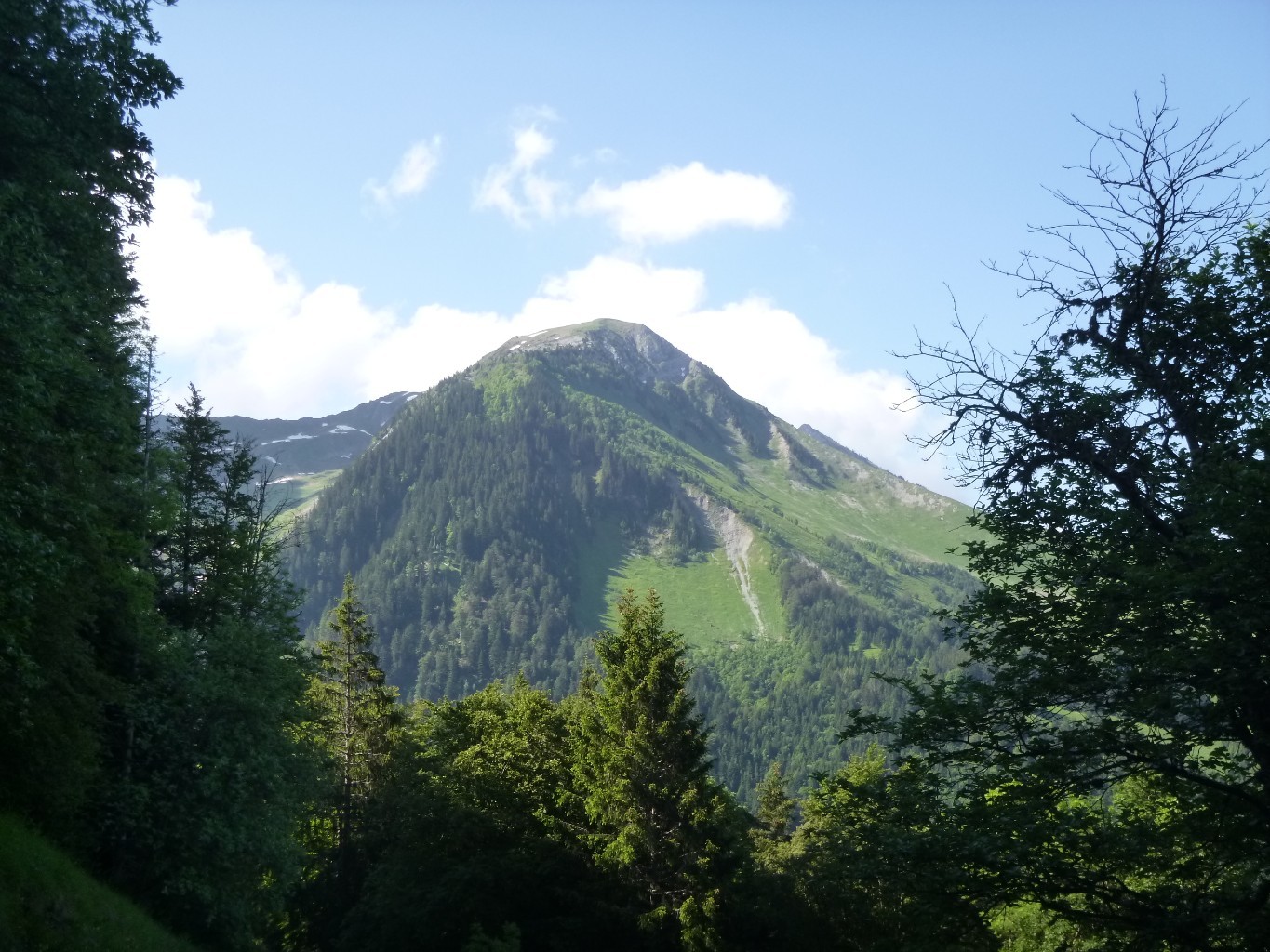 vue sur le Pecloz NE