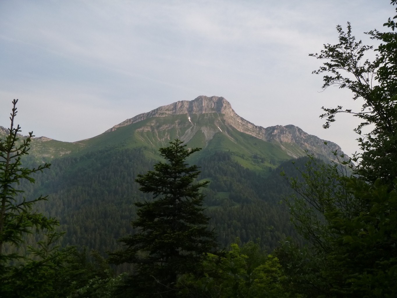 Colombier