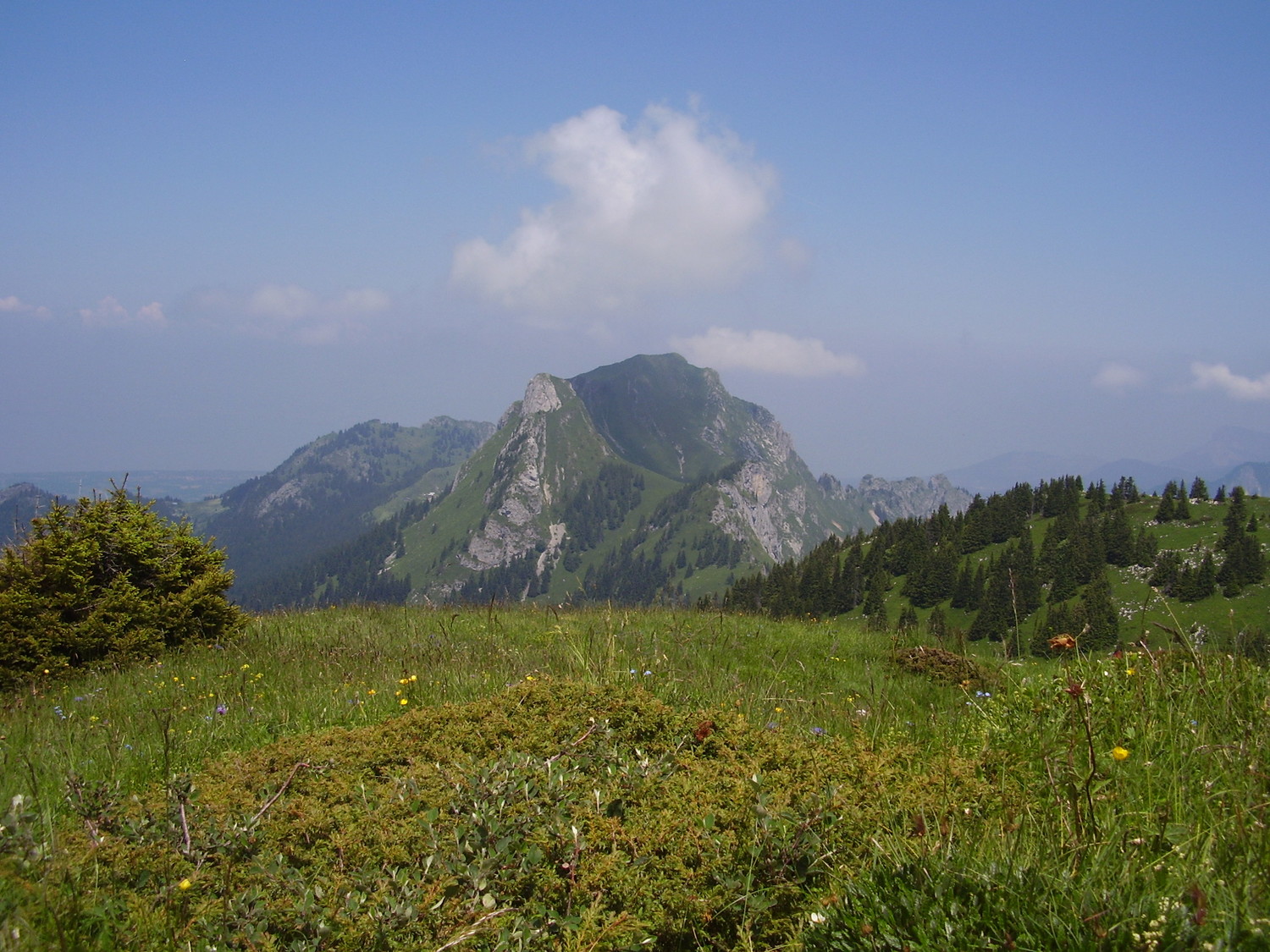 Mont Billiat depuis Ireuse ... à la pause casse croute !