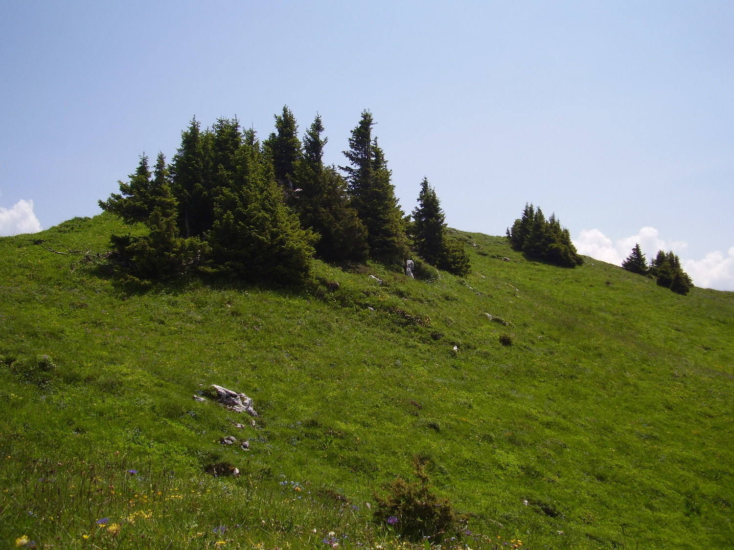 Proche du sommet de la pointe d'Ireuse