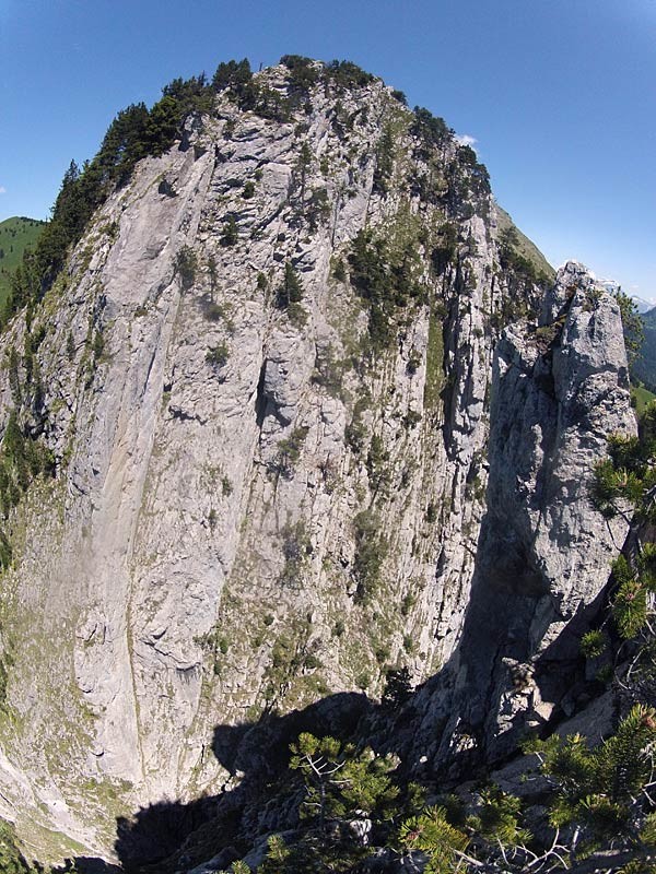 la suite après le saut du chien