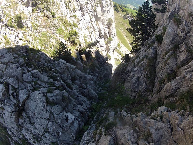 le début de la réchappe