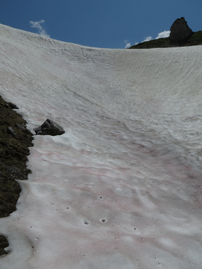 Neige a 2000m au Col de Poreyrette