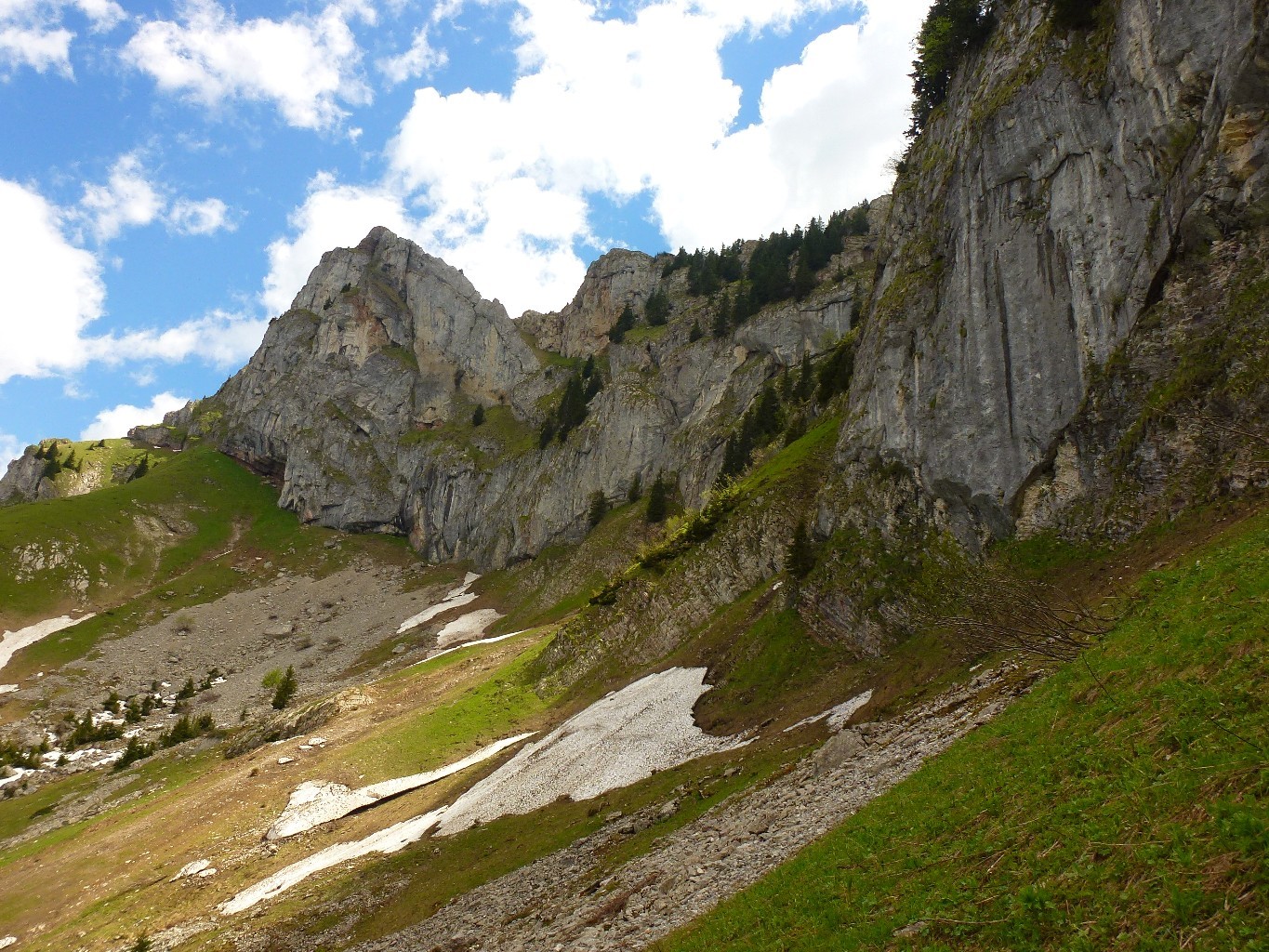 Vue générale de la face Ouest - Le départ se situe au dessus et à gauche du pierrier visible à gauche de la photo