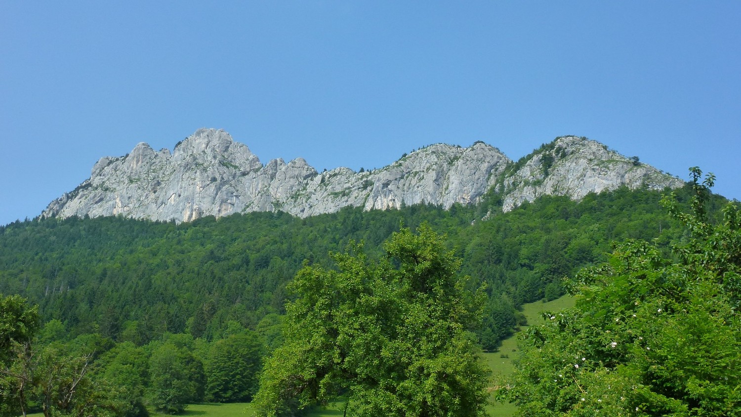 Face Ouest du Roc des Boeufs
