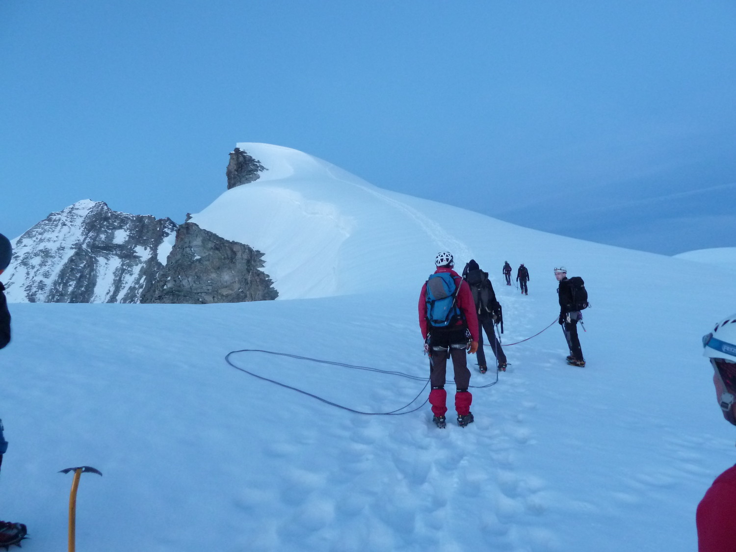 Sur l'arête des bouquetins