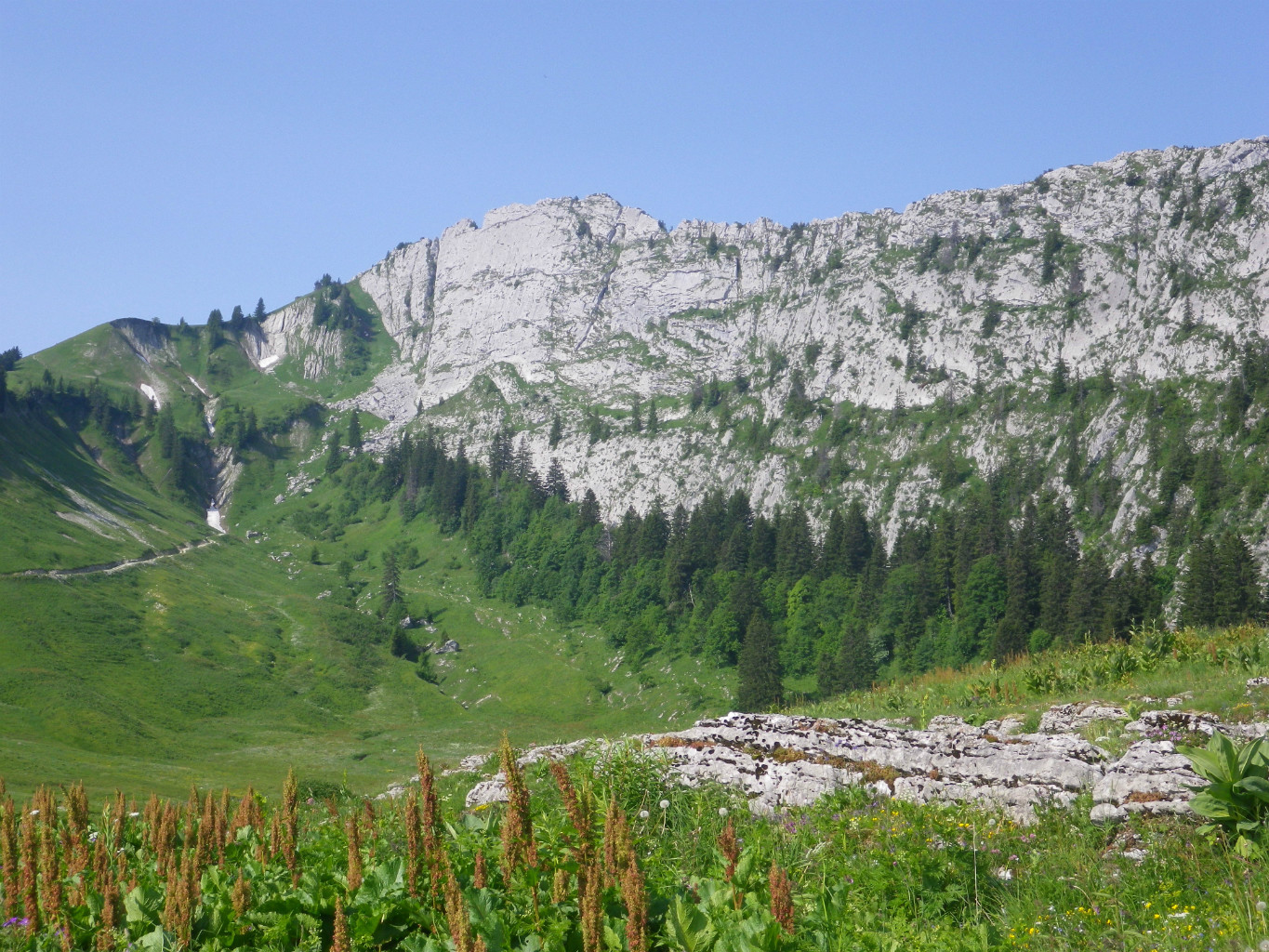 Vue sur le sommet de Banc Plat