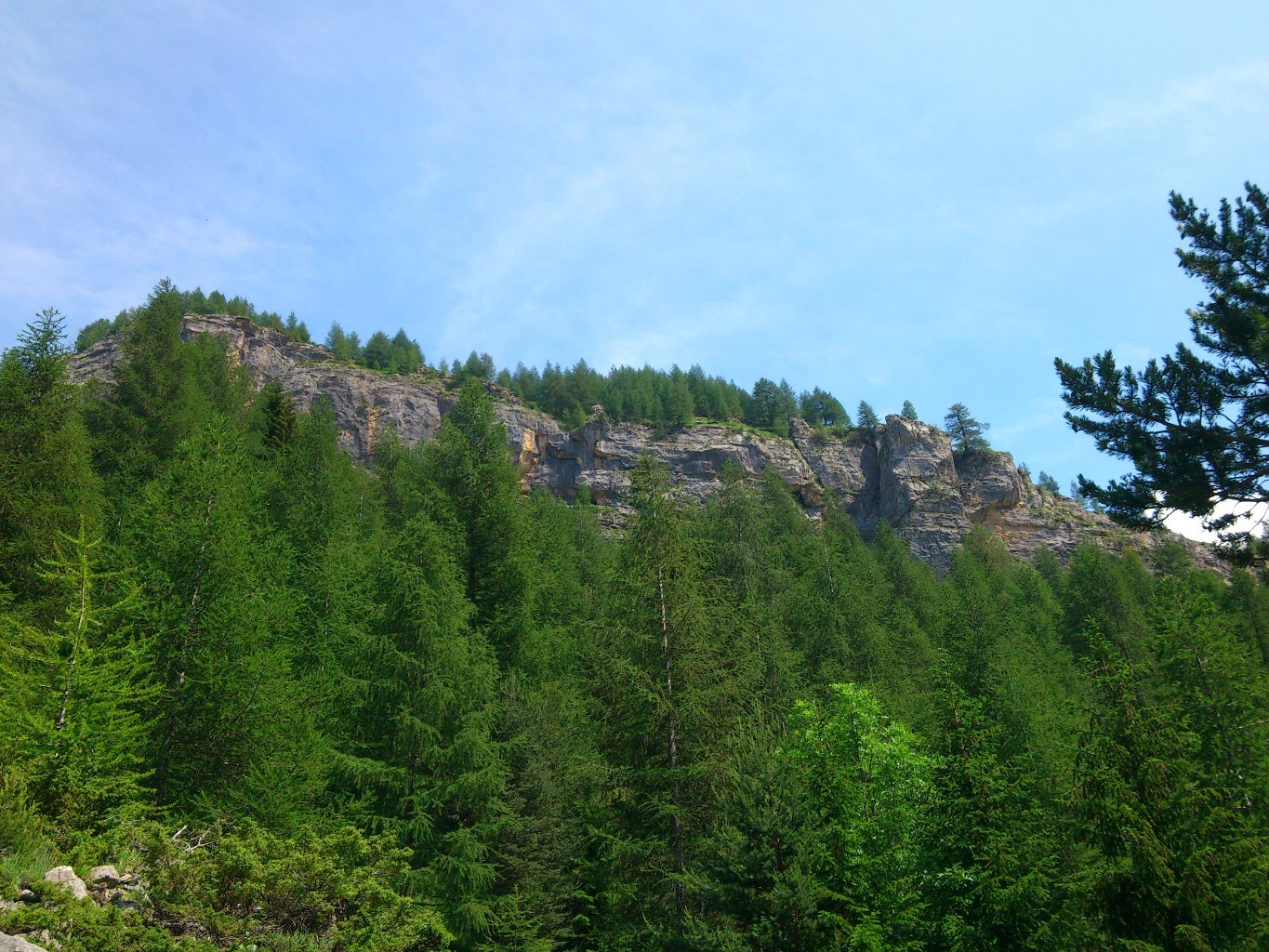 barre de roya