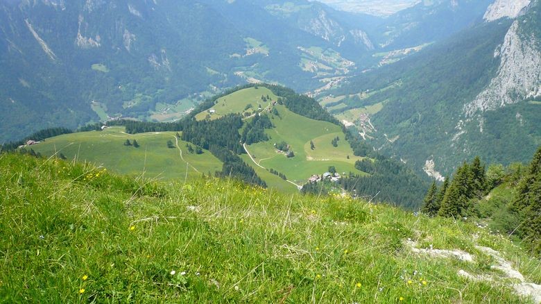Paradis