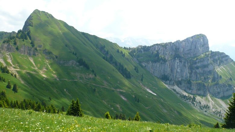 Aiguille verte