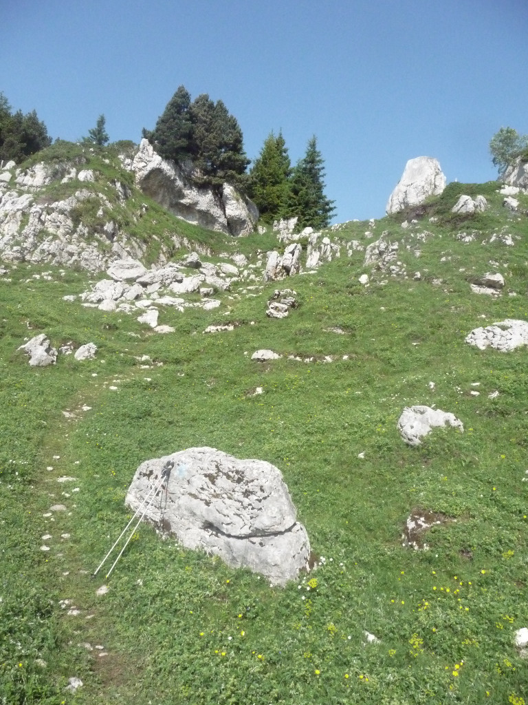 arrivée au col de belles ombres