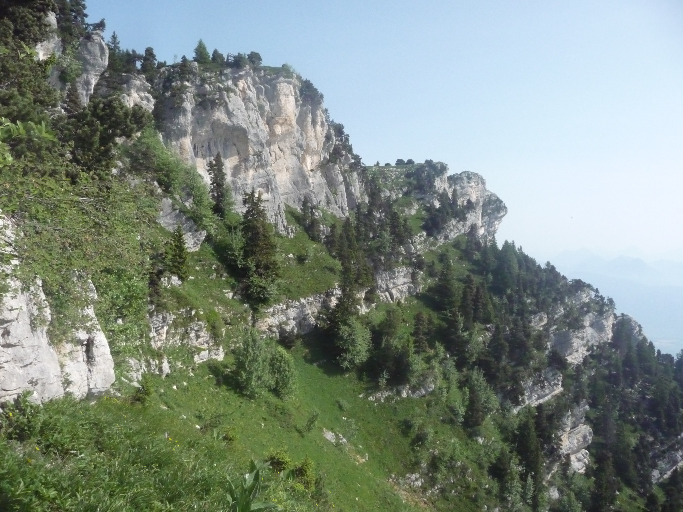 1er cirque
