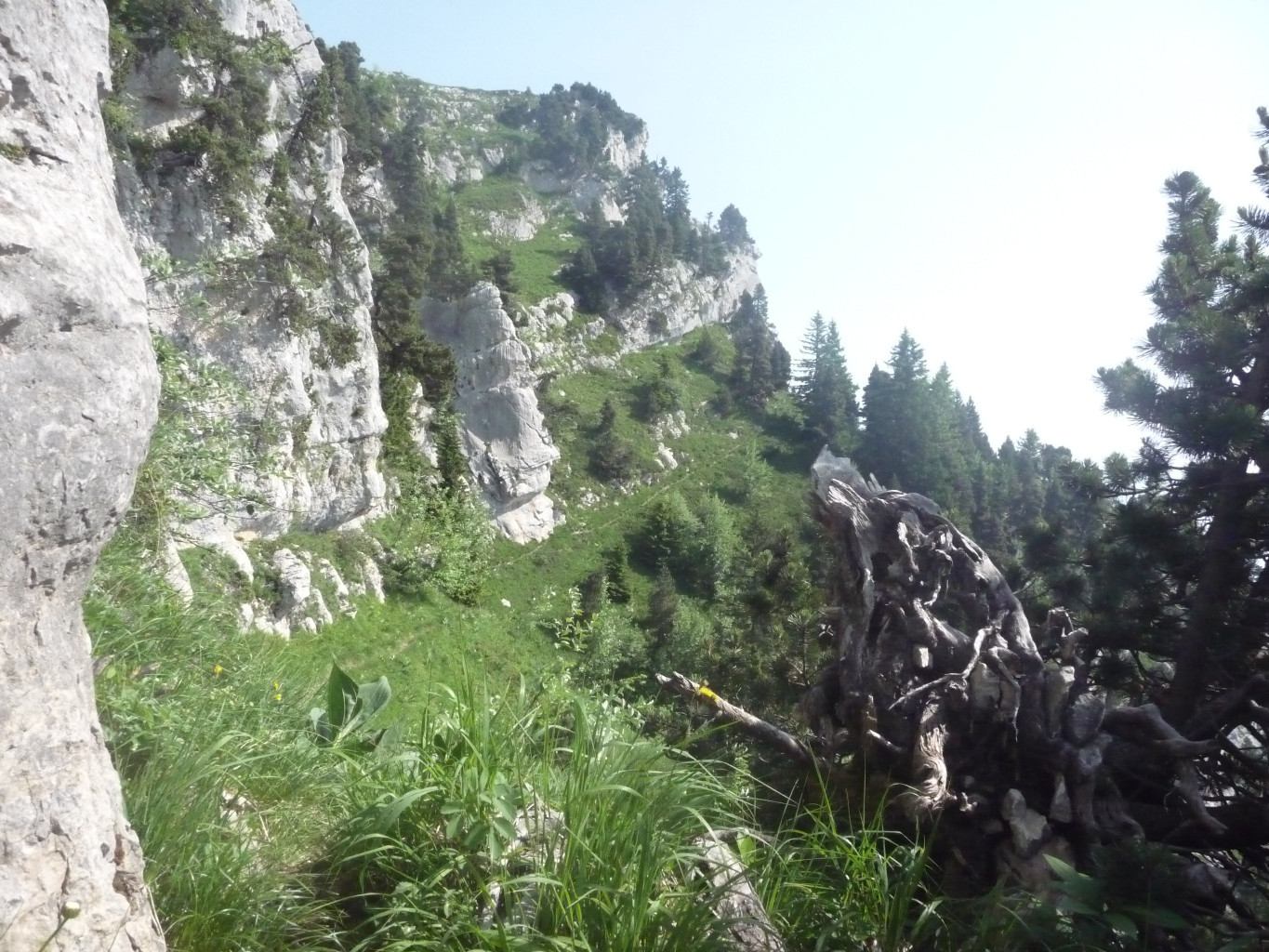 2ème cirque