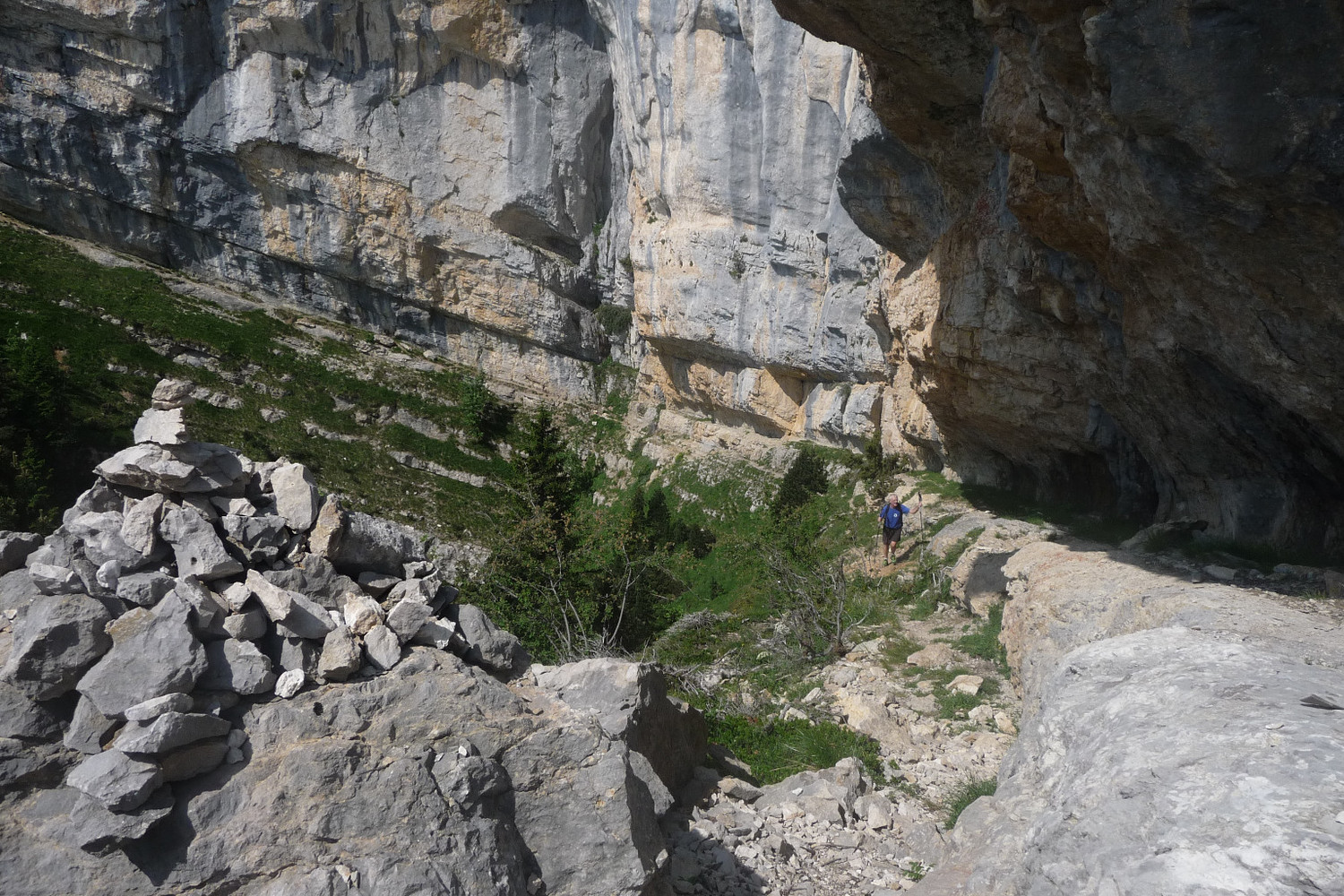 Michel dans 5ème cirque