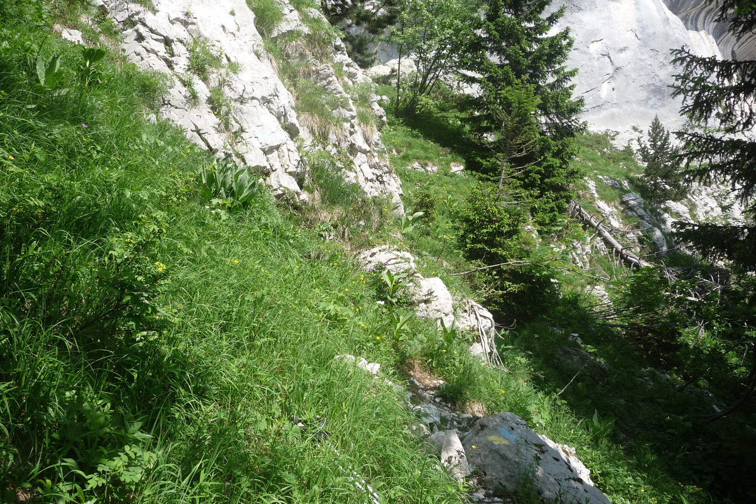 point 1710m, point jaune et bleu