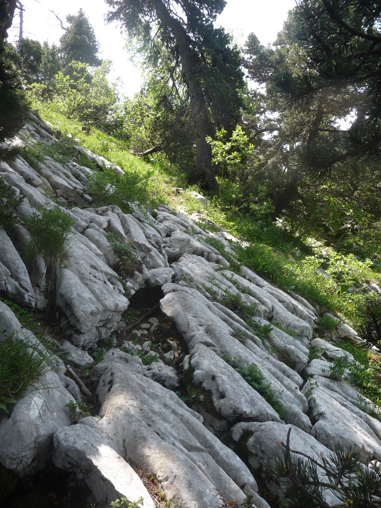 sentier et lapiaz