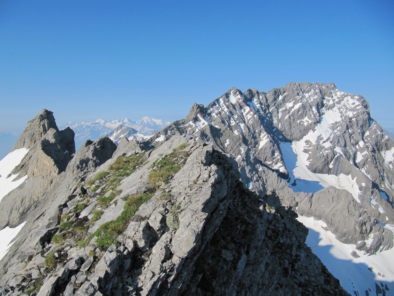 Arête Vierge depuis sommet et Grd Muveran