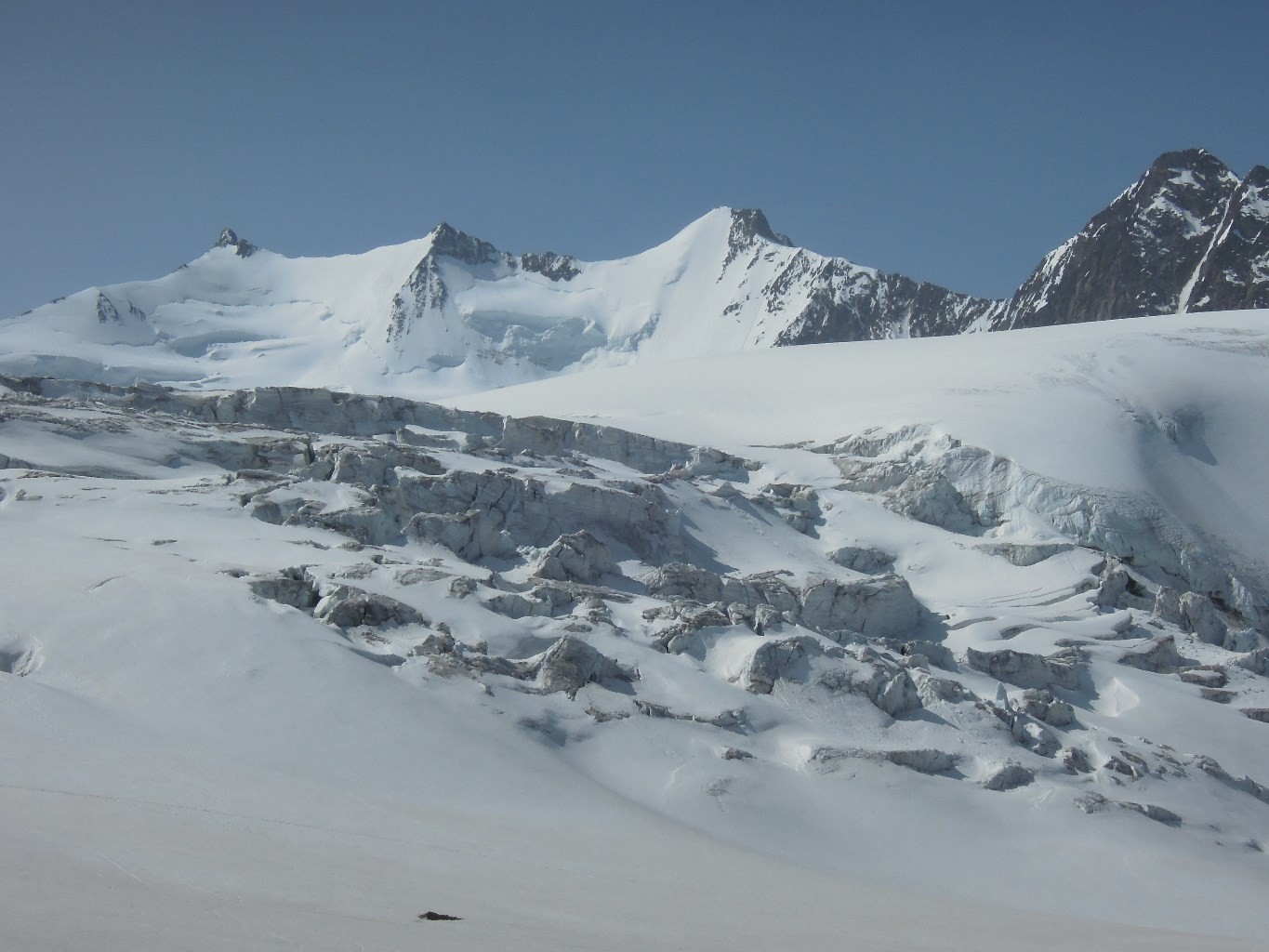 Nadelgrat et Riedgletscher, au milieu, Hohberghorn.