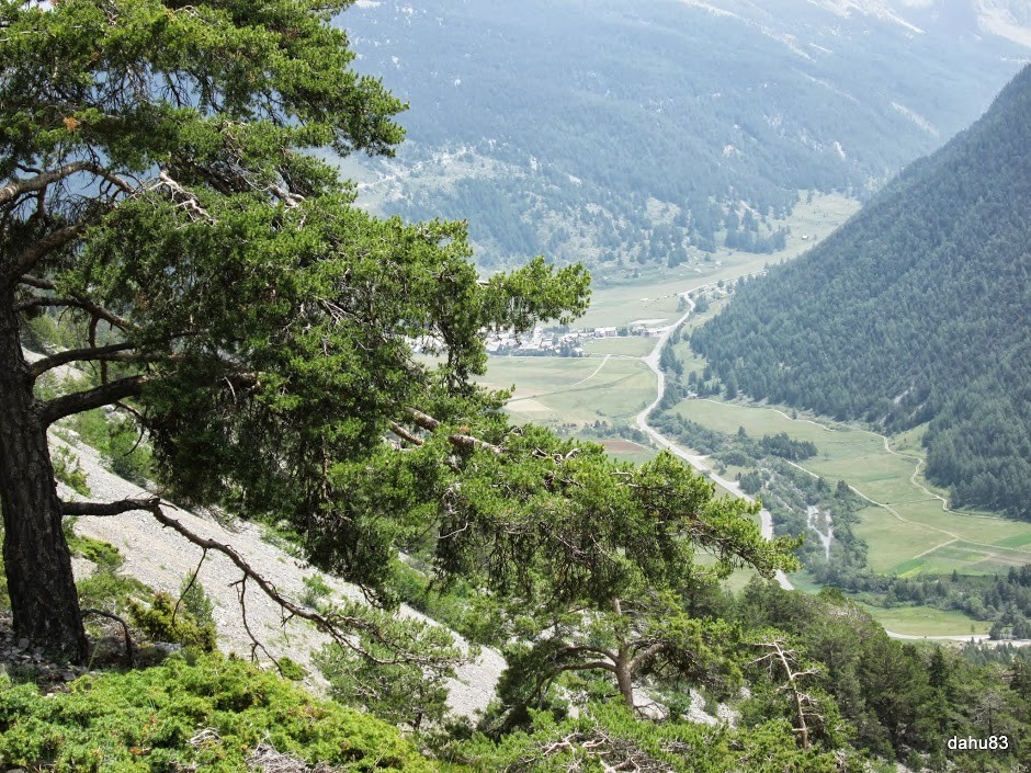 plaine de Ceillac
