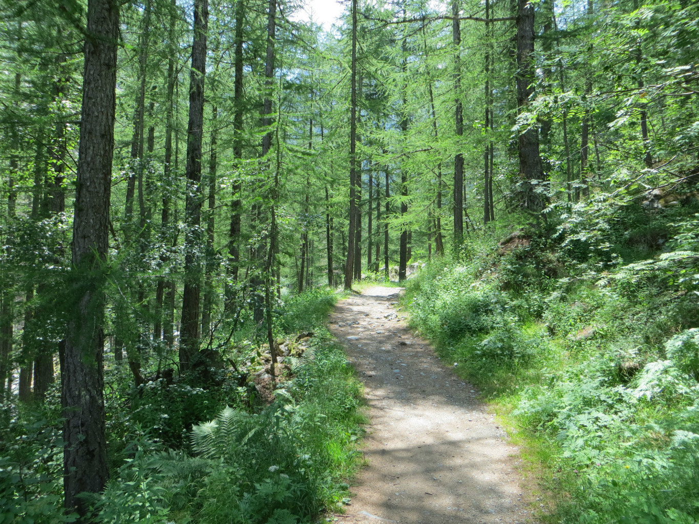 chemin de départ
