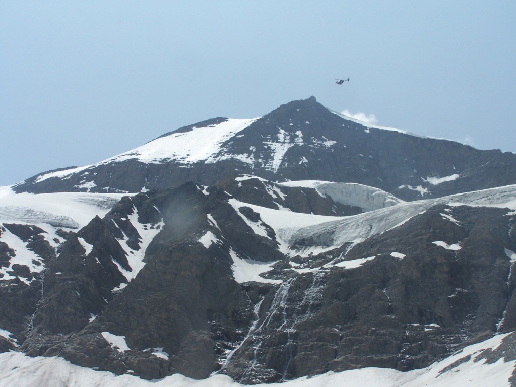 Helitreuillage à l'Albaron.