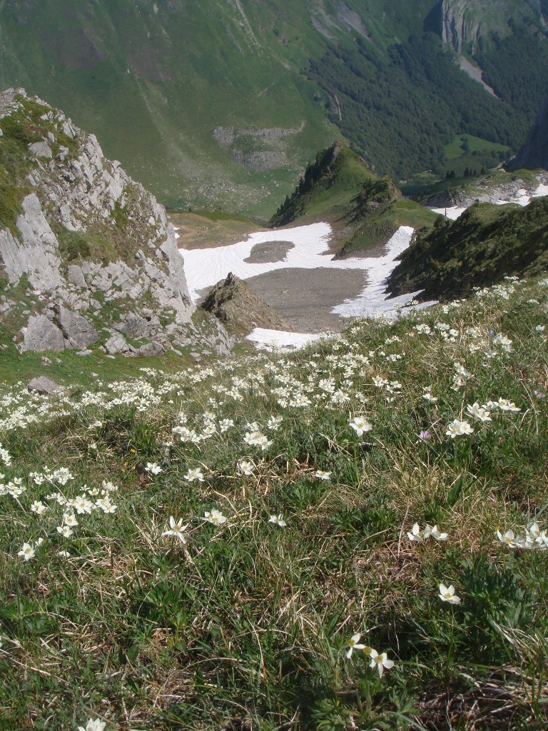 Vue du col sur le couloir de montée
