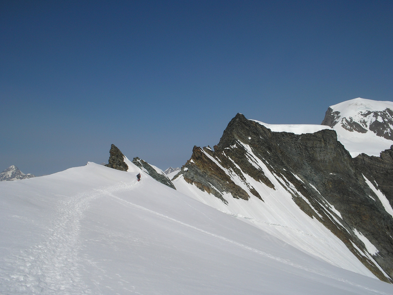 dal Feejoch