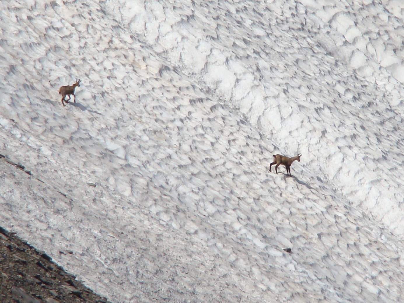 vers le col des chevrettes