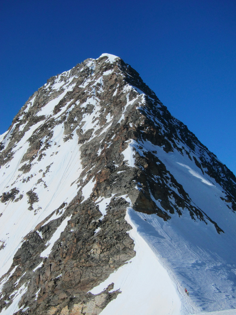 La cresta NE che porta alla cima del Lagginhorn
