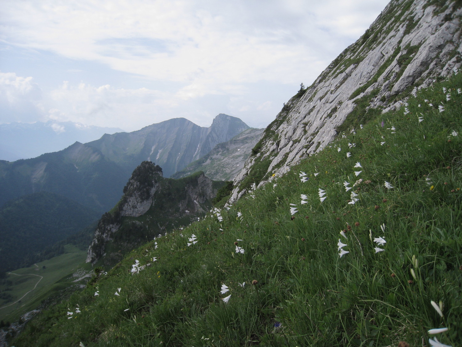 Arcalod - tapis de lys