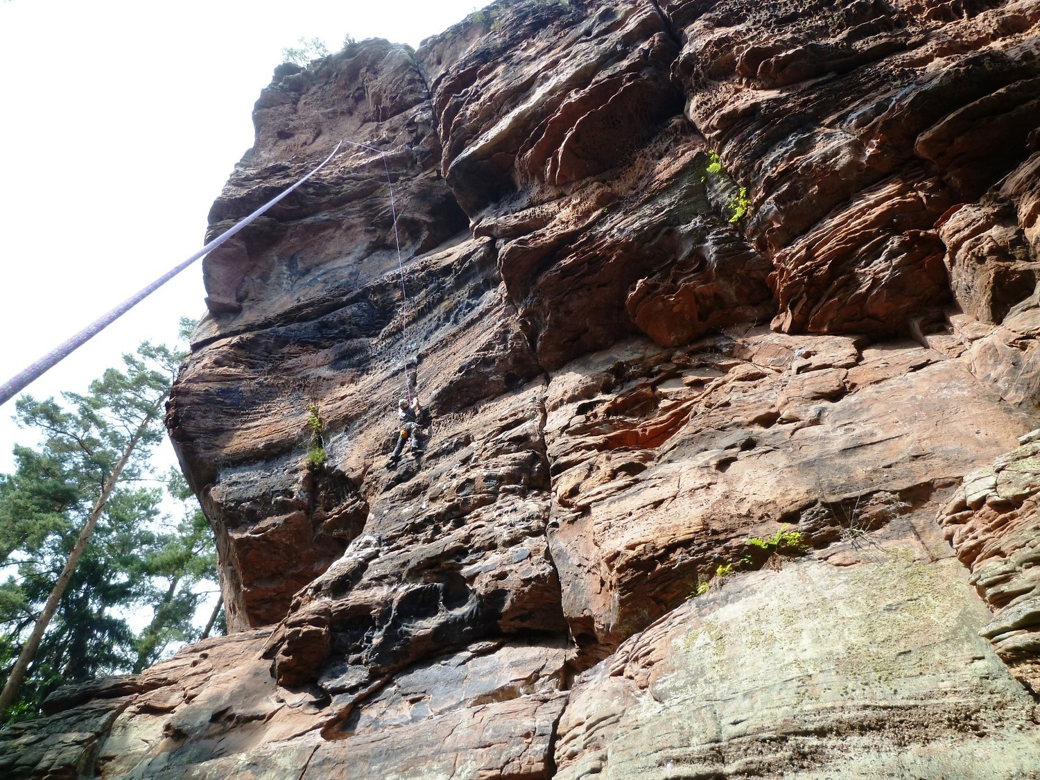 Fladenstein