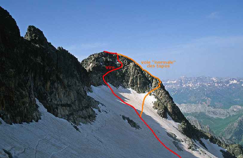 Frondella SW